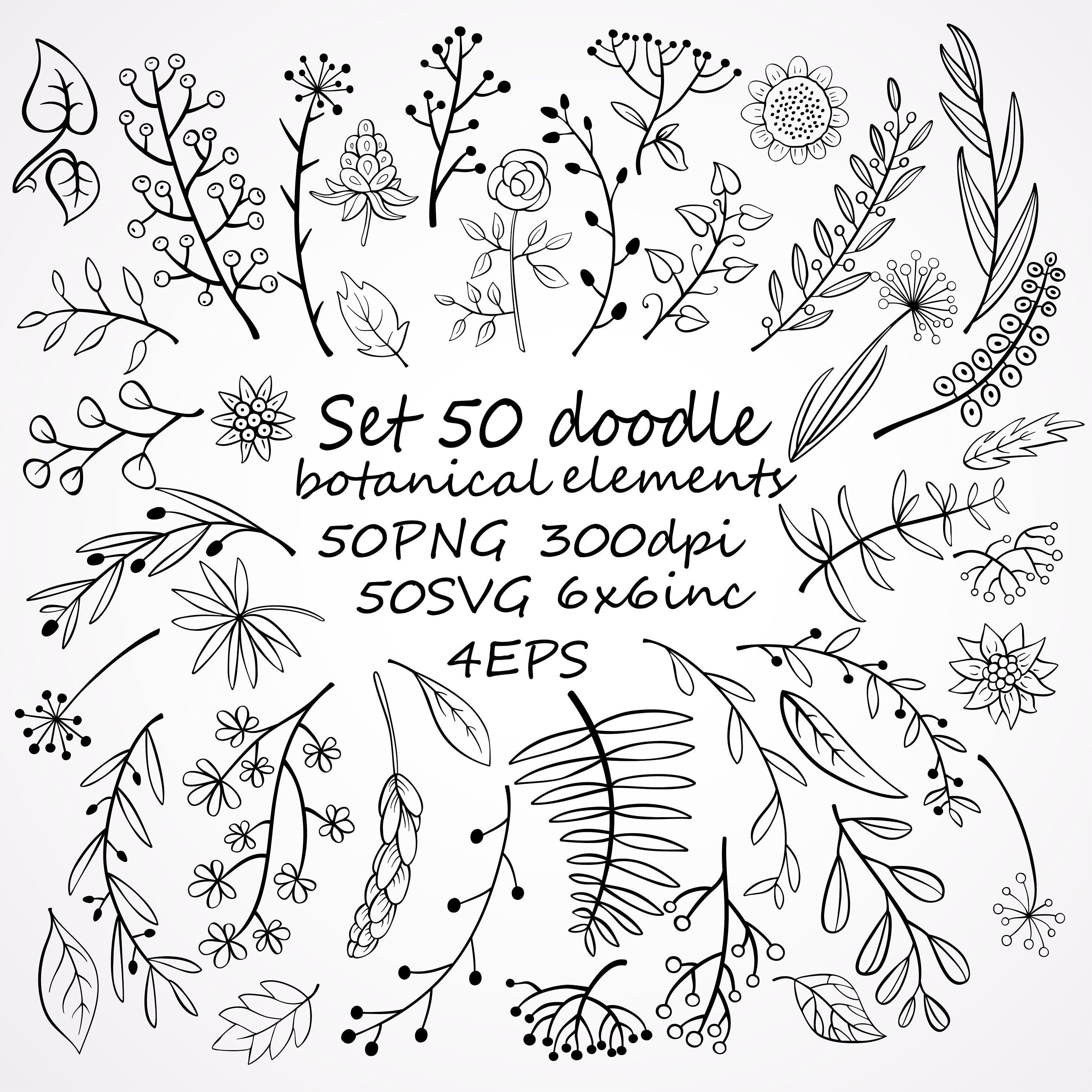 Set of 50 doodle  botanical elements, SVG floral clipart,PNG doodle floral clipart, hand-drawn botanical clipart, botanical doodle set.