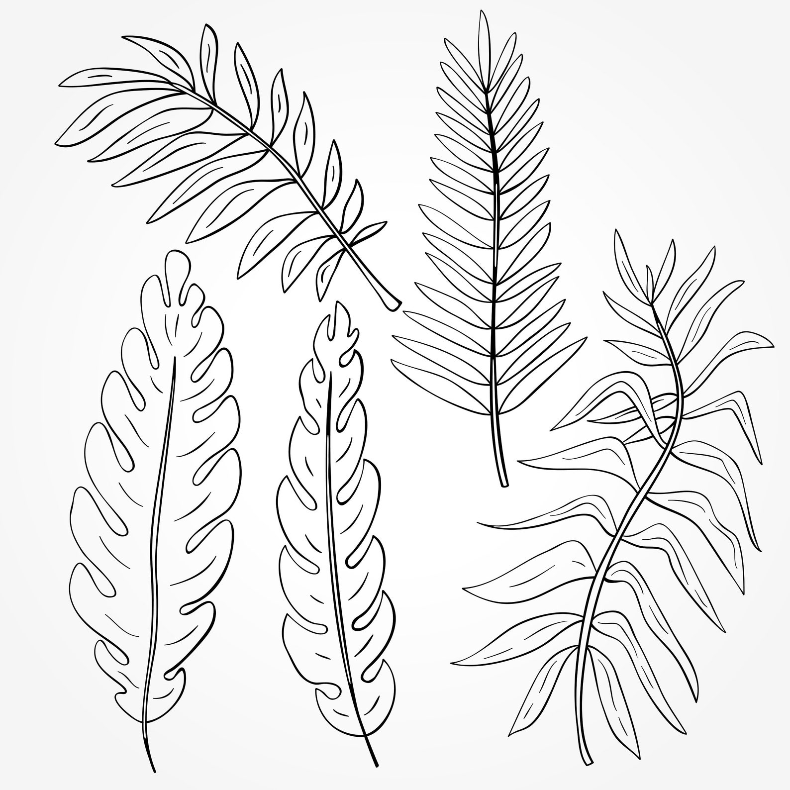 Tropical leaves clipart20 PNG tropical leaves 20 SVG | Etsy