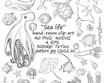 Imágenes prediseñadas de "vida marina" dibujadas a mano, imágenes prediseñadas de animales marinos en formato SVG, imágenes prediseñadas de vida oceánica en formato PNG, imágenes prediseñadas de vida marina dibujadas a mano. Imágenes prediseñadas de vida marina submarina.