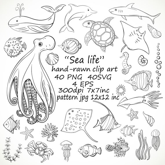 ocean animals underwater clipart black