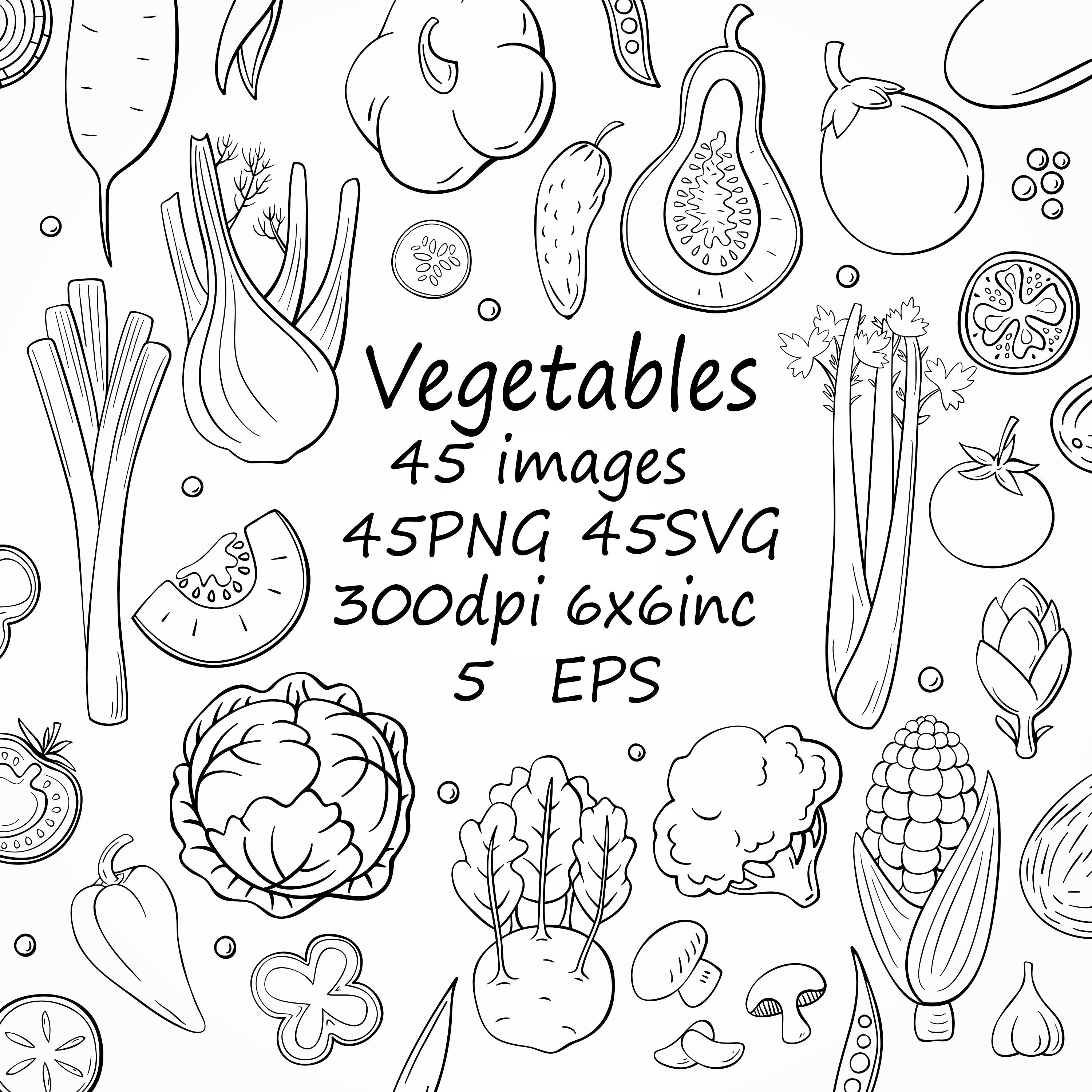 Gemuse Clipart Svg Gemuse Png Gemuse 45 Separate Bilder Etsy