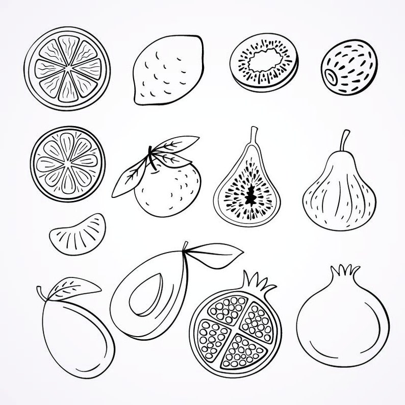 Handdrawn Fruits Clipart, 57 Separate Images Fruits SVG,PNG,EPS