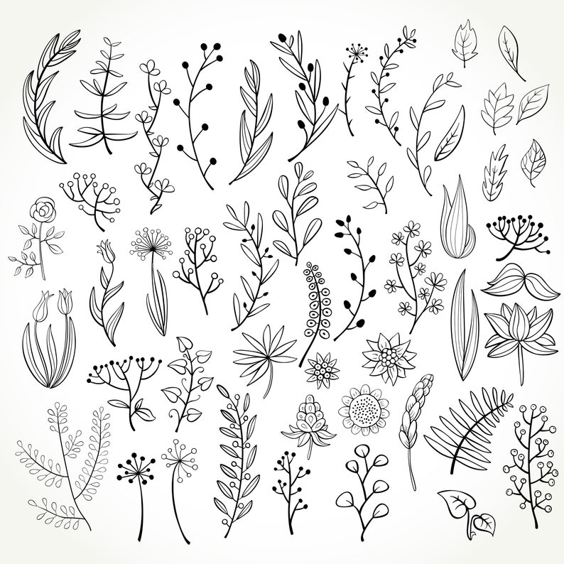 Set of 50 doodle botanical elements PNG doodle floral Etsy