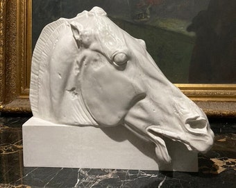 Selene Horse Head