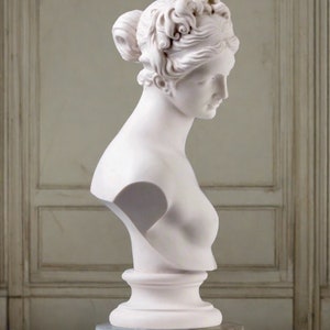 Venus Bust image 5