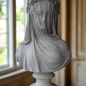 THE VEILED LADY image 2