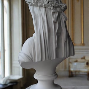 THE VEILED LADY image 3