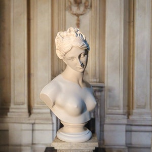 Venus Bust