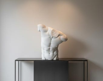 Large Male Torso