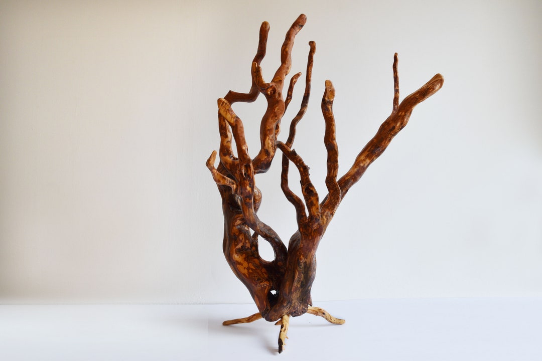 Tree Root Sculpture Wood Sculpture Unique Root Decoration Rustic Wood
