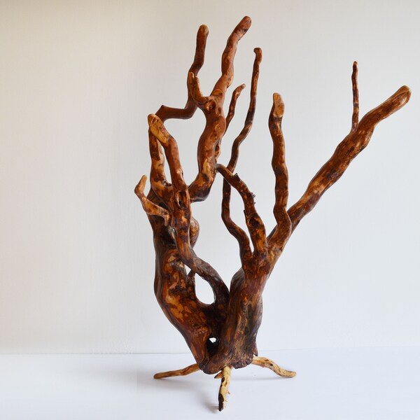 Root Statue Root Art - Etsy