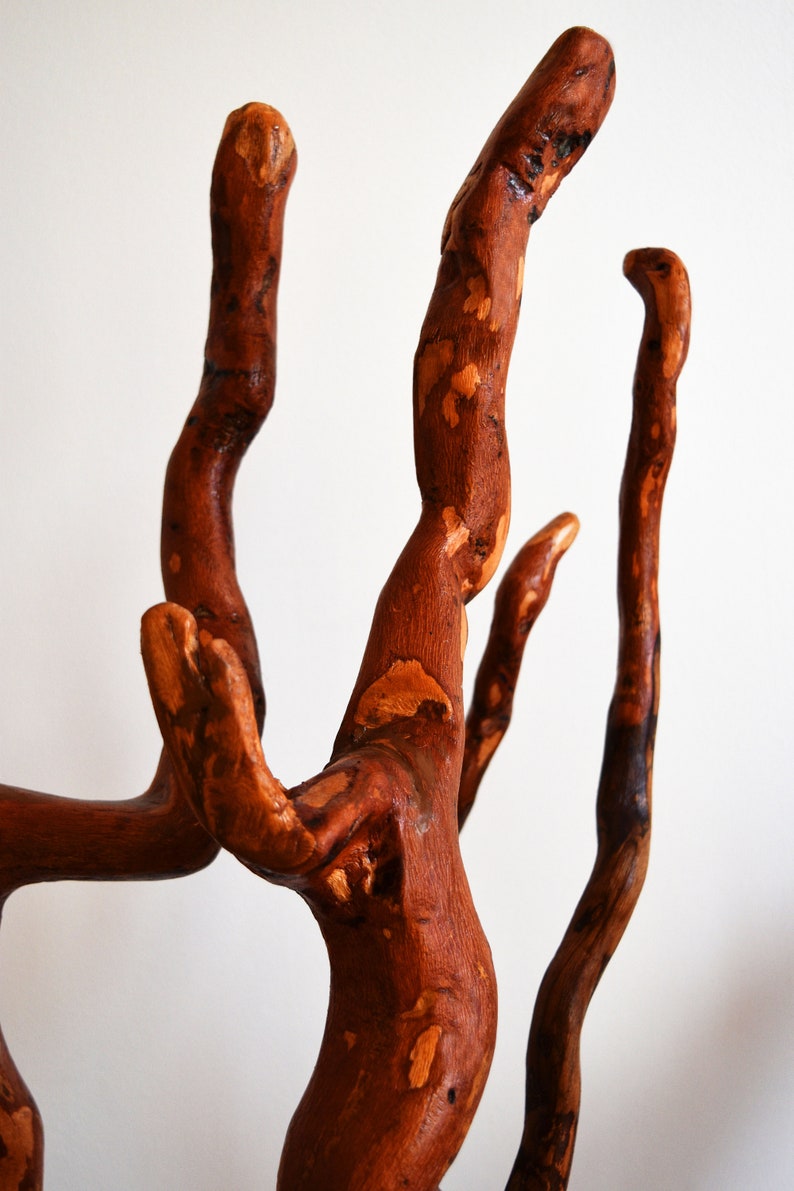 Tree Root Sculpture Wood Sculpture Unique Root Decoration Etsy