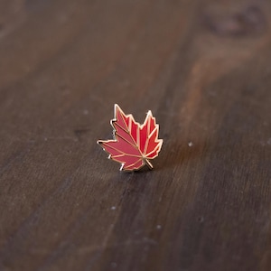 May include: A small enamel lapel pin shaped like a maple leaf. The leaf features a vibrant red color with distinct gold-toned metal outlines that segment the leaf into geometric sections, creating a clean and defined appearance for the accessory.