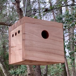 Handmade Ambrosia Maple Chickadee Birdhouse: Modern Hanging Nesting Box