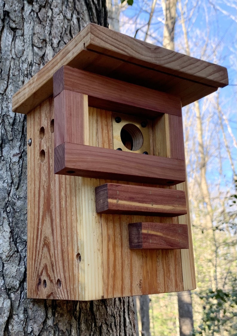 Handmade Cedar Birdhouse: Rustic Modern Design With Predator Guard - Etsy