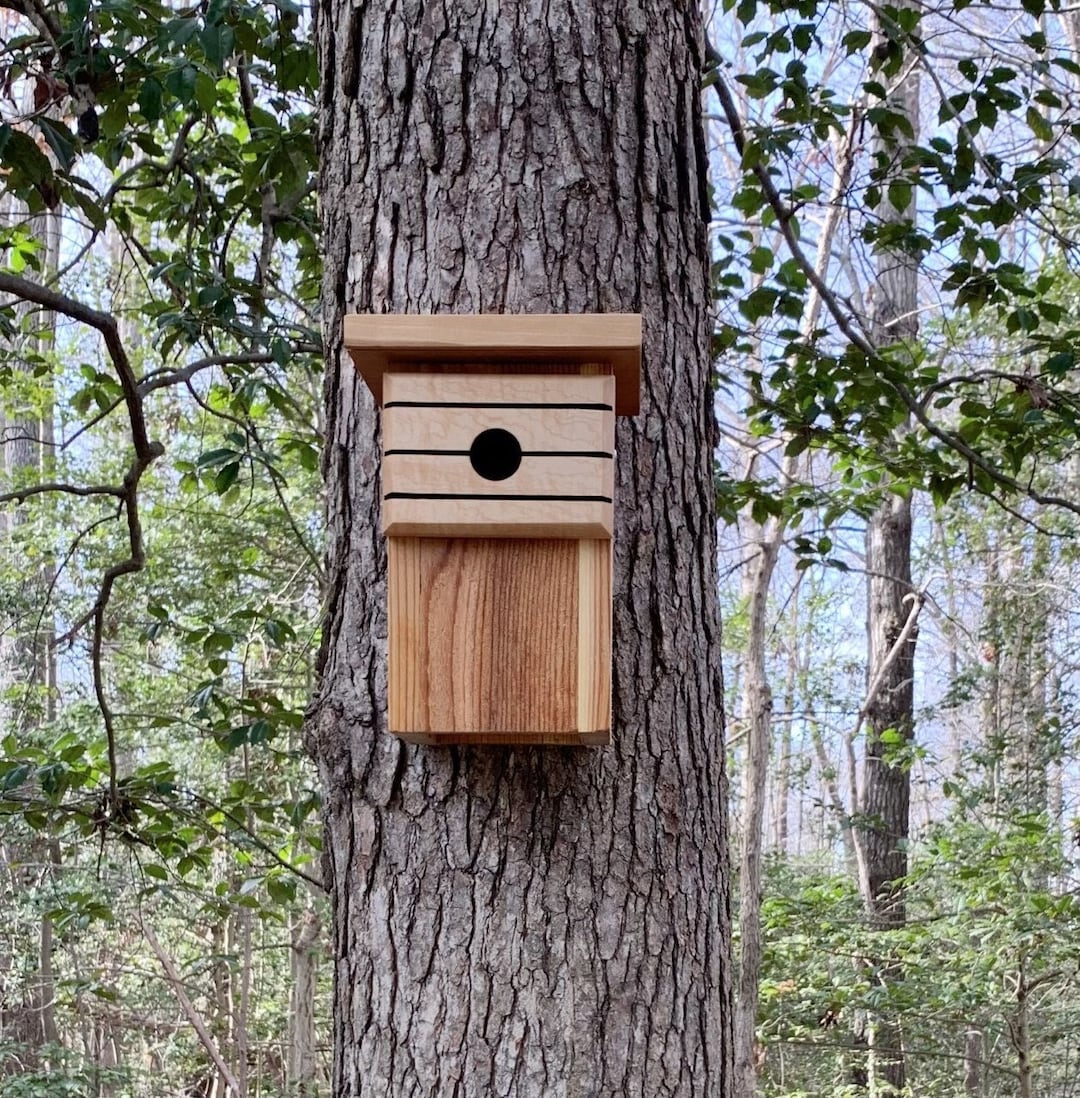 Modular Bird Boxes Handmade Rustic Modern Minimalist Artistic Bird Box, Architectural ...