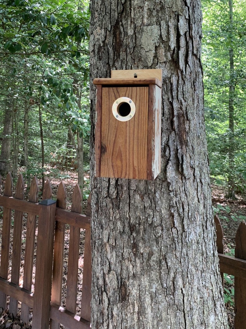Medium-Sized Rustic Handmade Rough Timber Cedar and Recycled Farm Table Wood Outdoors Bluebird Nesting Box with Portal Protector