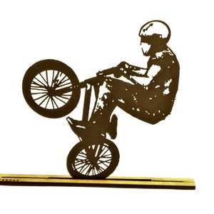 ¡BMX! haces estilo libre
