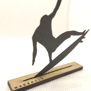 Surfer! Basta dire che puoi navigare ... Cool :)