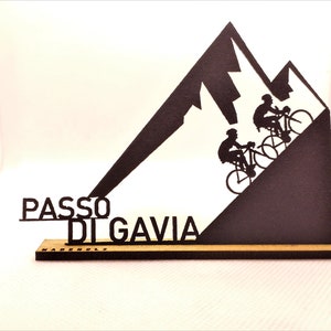Passo di Gavia ! Là-haut, debout avec vous..:)