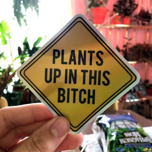 Holographic Plants Up In This Bitch Car Decal - Plant Sticker - Botanical - Plant Car Sticker