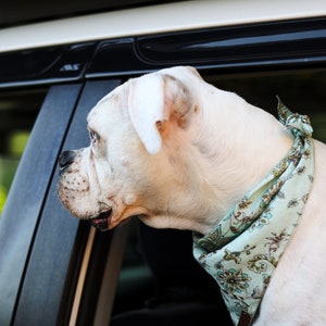 Bandana para mascotas "Veneta" con diseño vintage de cachemira y flores azules, accesorio de verano para perros o gatos estilo bohemio. imagen 2