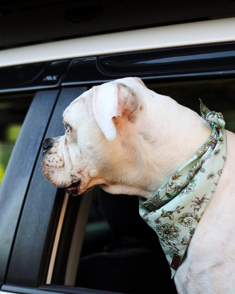 Bandana para mascotas "Veneta" con diseño vintage de cachemira y flores azules, accesorio de verano para perros o gatos estilo bohemio. imagen 2