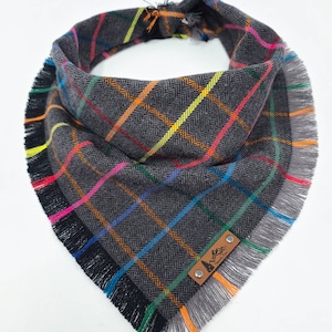 May include: A gray plaid dog bandana with a rainbow fringe and a leather patch that says "Mountain Pup".