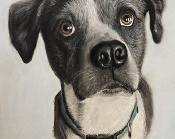 Ritratto personalizzato di un animale domestico altamente dettagliato