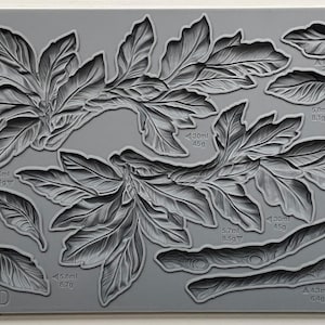 Viridis Mould by IOD