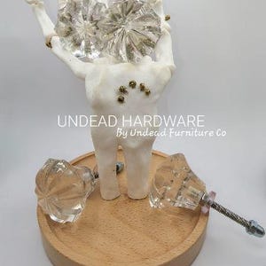 May include: Clear glass cabinet knobs with a faceted design are displayed on a wooden tray. The knobs are held by a white skeleton hand. The text "UNDEAD HARDWARE By Undead Furniture Co" is visible.