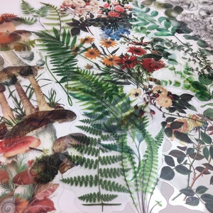 Clear Botanical Stickers