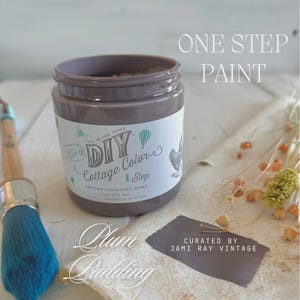 Plum Pudding ~All In One VOC Free Paint with a Built in Sealer by DIY Paint