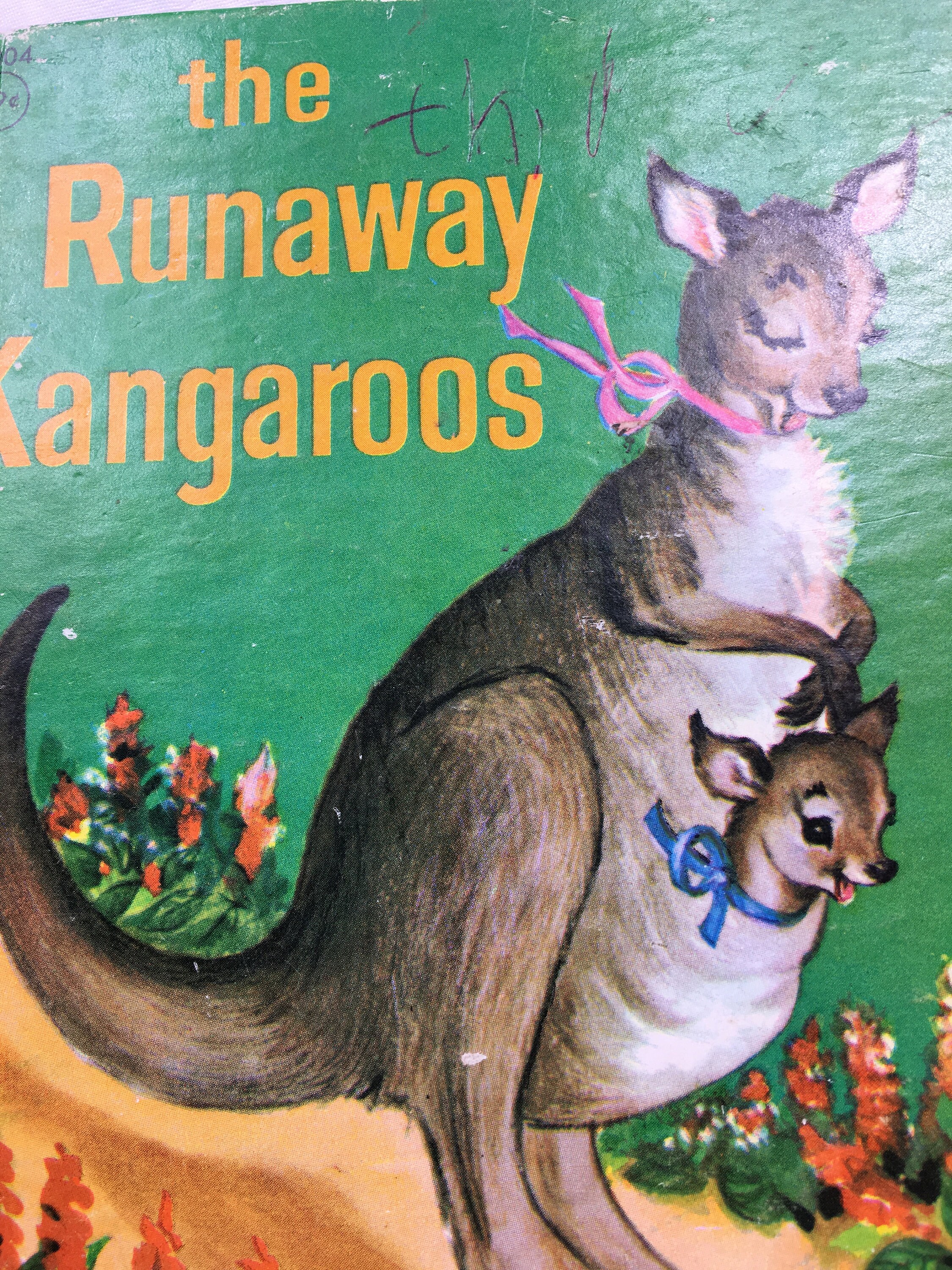 Vintage Book The Runaway Kangaroos 1959 Etsy
