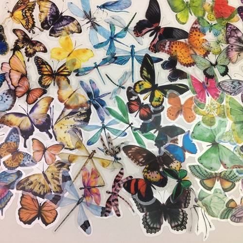 40 Clear Blue Translucent Butterfly Stickers Clear Blue Etsy