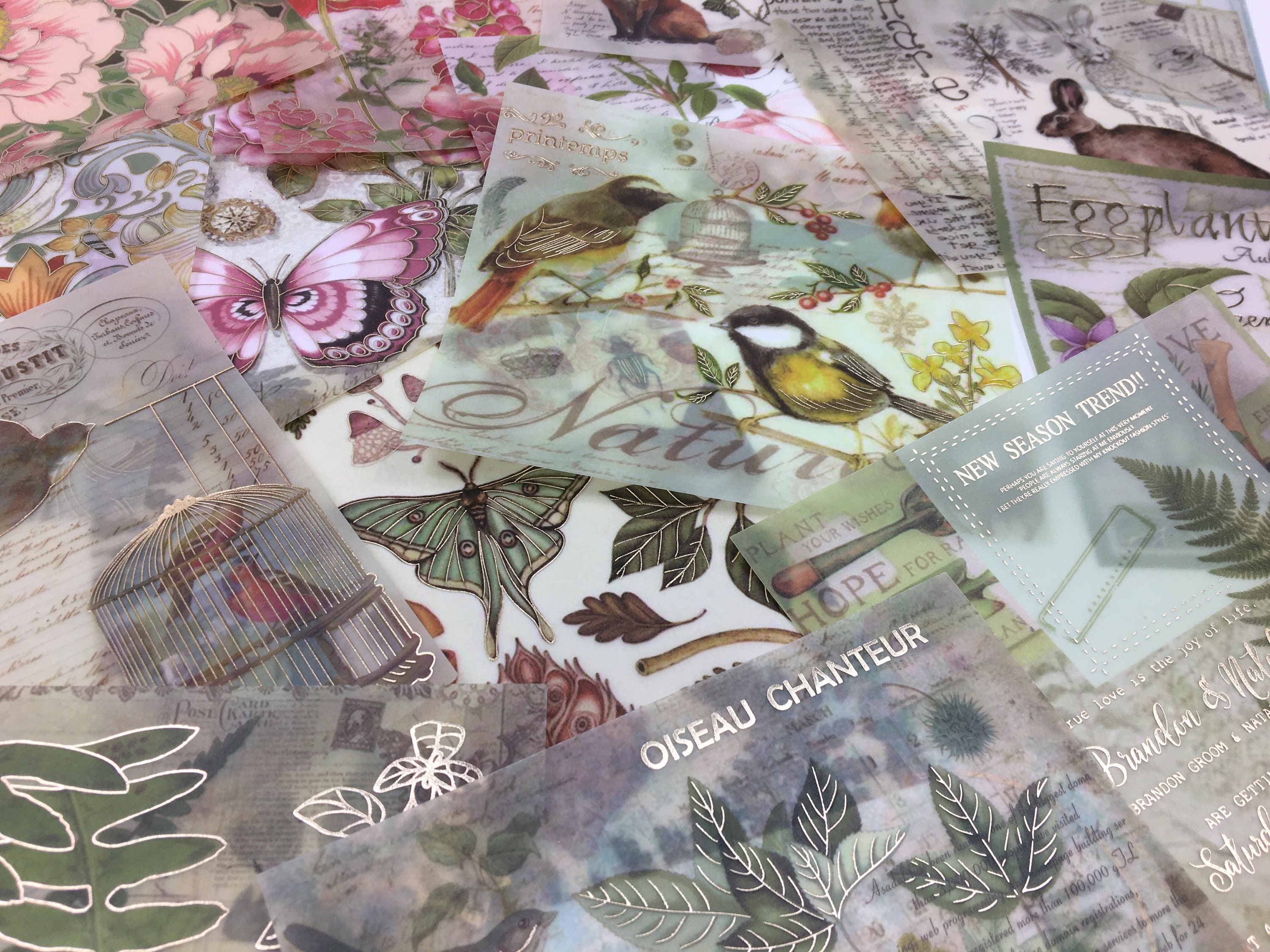 5 Vellum Paper & Sticker Sets - Etsy