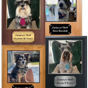 Employee of the Month Pet Plaque