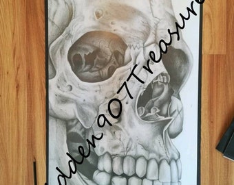 Artwork- Pencil Skull, anatomical, medical, skeleton, dark, spooky, horror,scary,