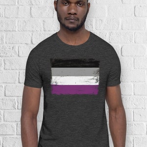 Asexual Pride Flag T-Shirt - Distressed Vintage Paint - Aromatic Ace Demisexual Graysexual