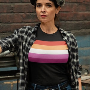 May include: A woman wearing a black and white plaid shirt over a black t-shirt with a horizontal rainbow stripe design. She is wearing blue jeans and a welding mask. She is standing next to a motorcycle.