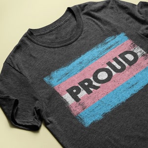 PROUD Transgender Pride Flag - Vintage Paint Style - Protect Trans Kids