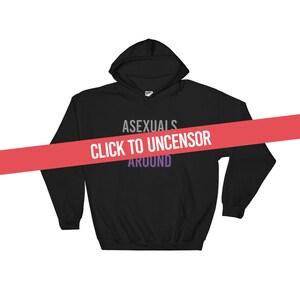 Asexuals Don&#39;t F*ck Around Pride Hoodie Sweatshirt