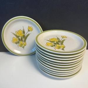 May include: A stack of off-white ceramic plates with a green rim and a yellow floral design. One plate is separate, showing the full design. The plates are likely for serving food and have a vintage aesthetic.