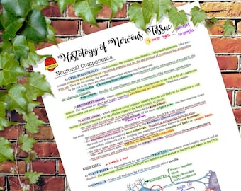 May include: A colorful diagram illustrating the components of a neuron, including the cell body, dendrites, and axon. The diagram also includes labels for the different parts of the neuron, such as the nucleus, mitochondria, and synaptic vesicles.