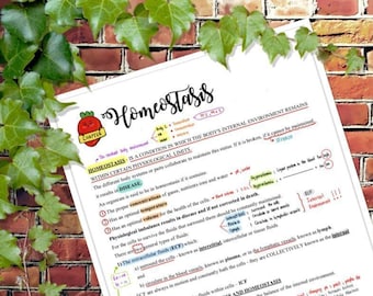 Anatomy and Physiology : Homeostasis