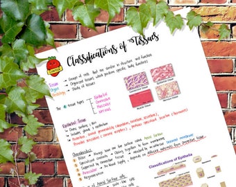 Anatomy and Physiology : Classifications of Tissues