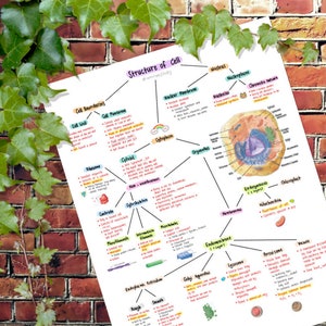 Anatomy and Physiology : Structure of Cell