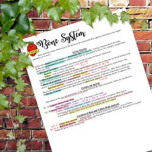 May include: A handwritten educational worksheet about the bone system. The worksheet includes information about the functions of bones, types of bones, and the location of red and yellow bone marrow. The worksheet is written in black ink with colorful highlights.
