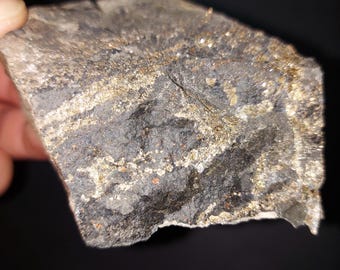 Gold, Silver, and Copper bearing Ore Sample - 302 grams