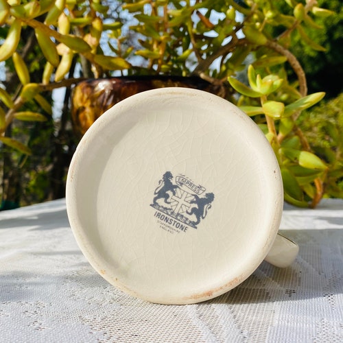 Staffordshire England Empress Ironstone Bethany Spode English 8 Piece Tea shops Set
